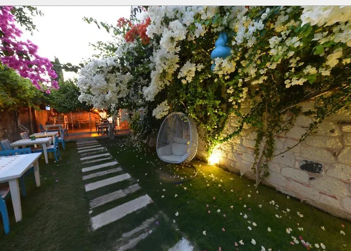 716 2* אלאקאטי