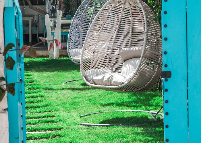 716 2* אלאקאטי