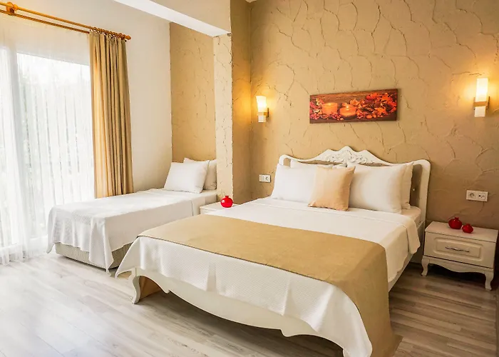 716 מלון אלאקאטי