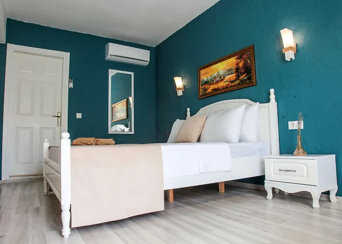 716 2* אלאקאטי