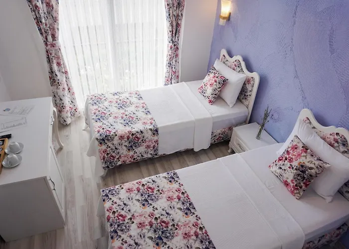 מלון 716 אלאקאטי